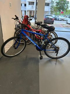 Bicycle