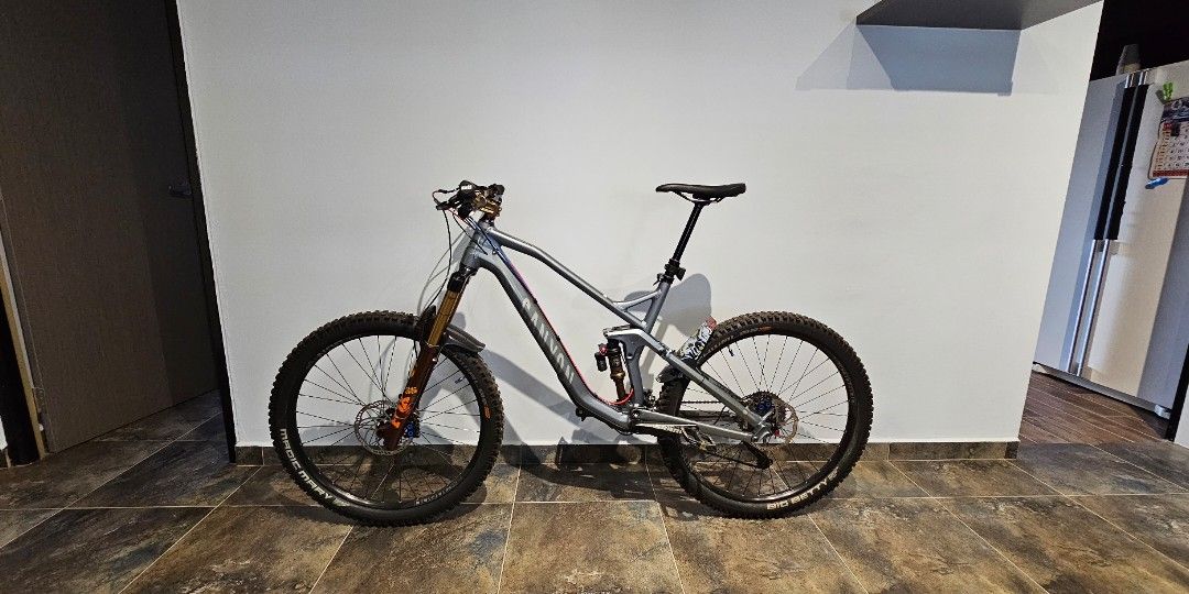 Canyon strive sale al 2017