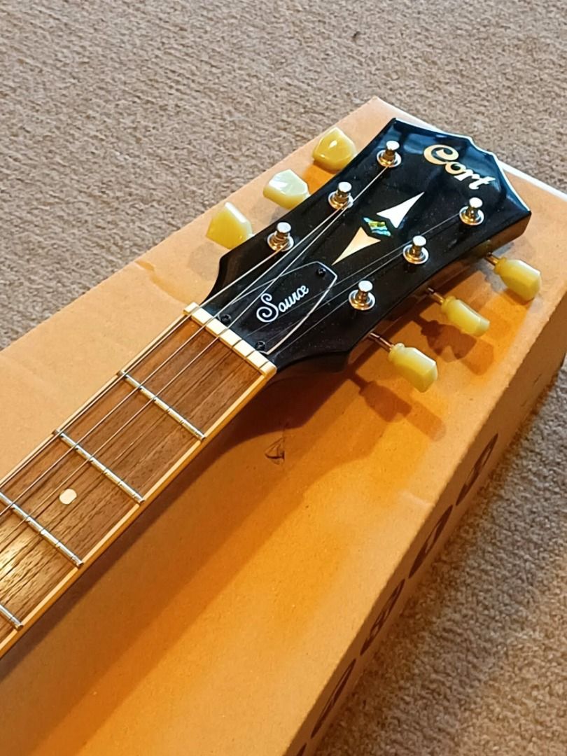 Cort Guitar Cort Source-BV Hollow Body Series Electric Guitar w/ P