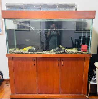 (Category: ) located in . Submitted by cindiy09 (Listing ID 1232263054, Image 1). Description: .