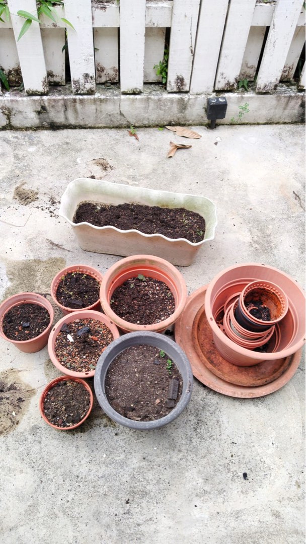 Flower pots and planters, Furniture & Home Living, Gardening, Pots