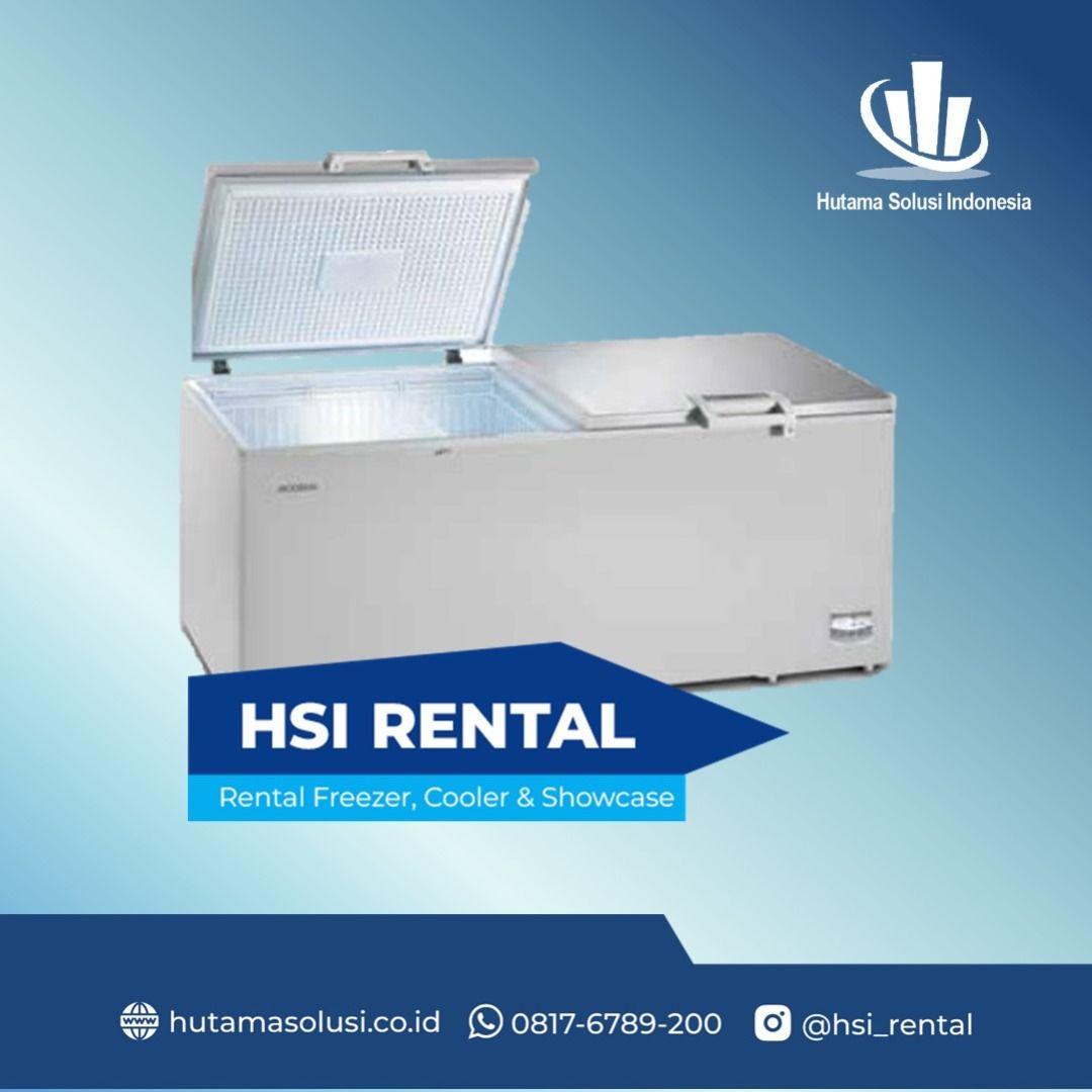 Sewa store freezer box