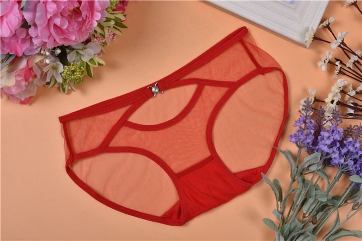 Hot~Sexy Gauze Hollow Transparent Underwear 17130, Women's Fashion, New  Undergarments & Loungewear on Carousell