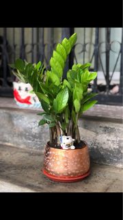 (Category: ) located in . Submitted by relocatingclearance (Listing ID 1232235183, Image 1). Description: .