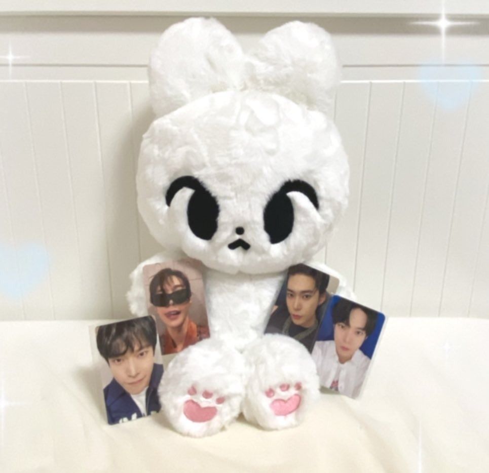 NCT Doyoung Kim Haddo Wangddo 40cm White Bunny Rabbit Doll by @kimhaddo ...