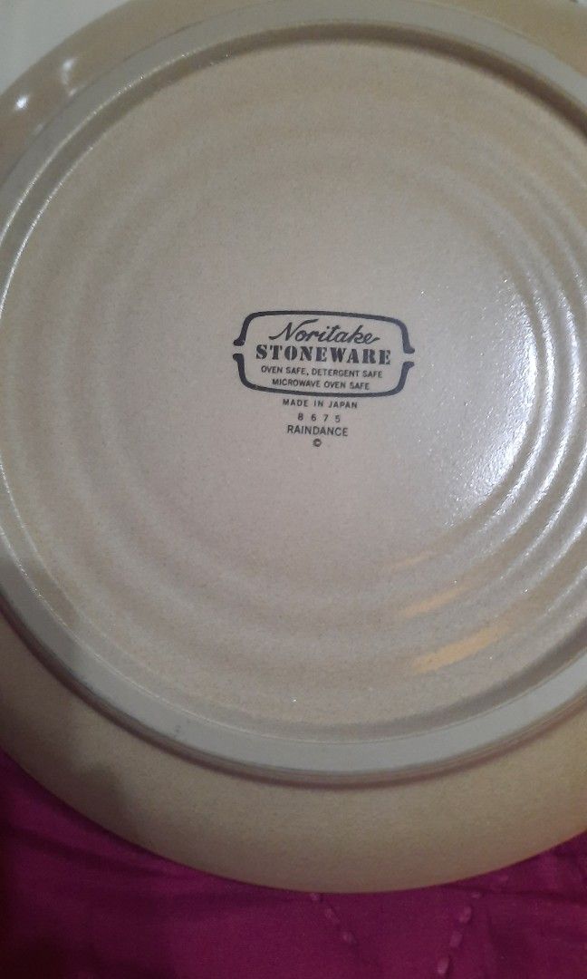 Noritake Raindance stoneware pasta plate/oven safe,microwave safe 8" on Carousell