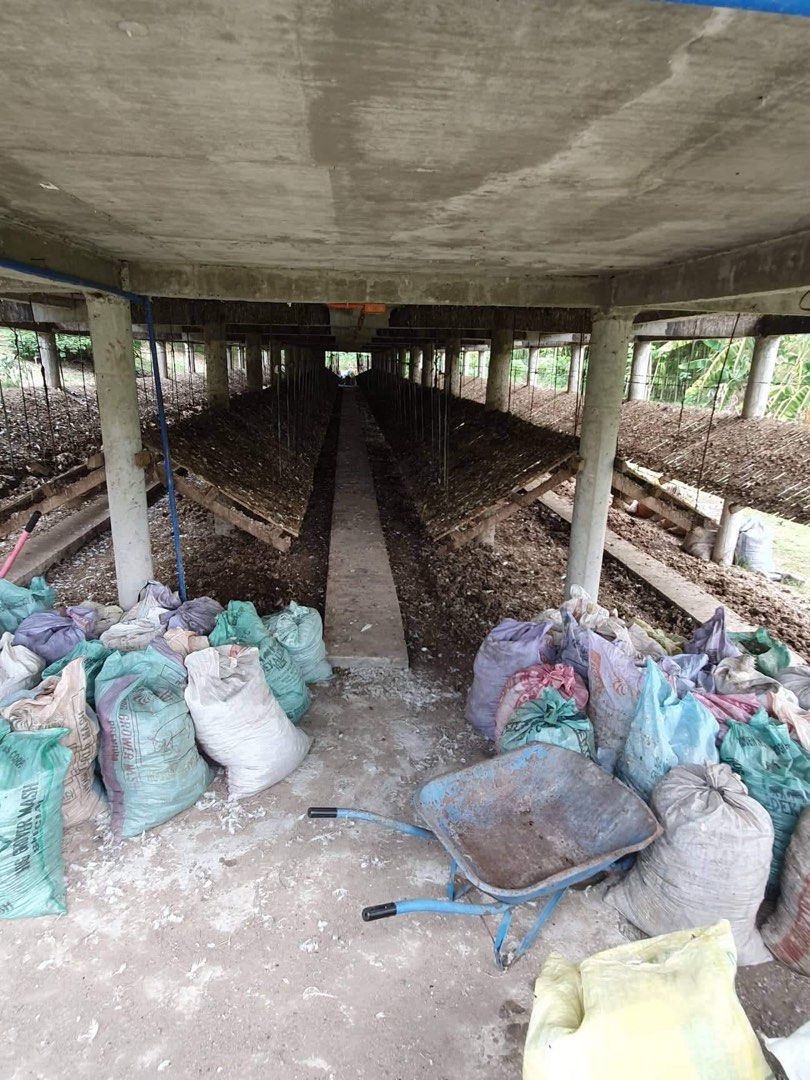 Poultry Farm For Sale!, Property, For Sale, Lot on Carousell