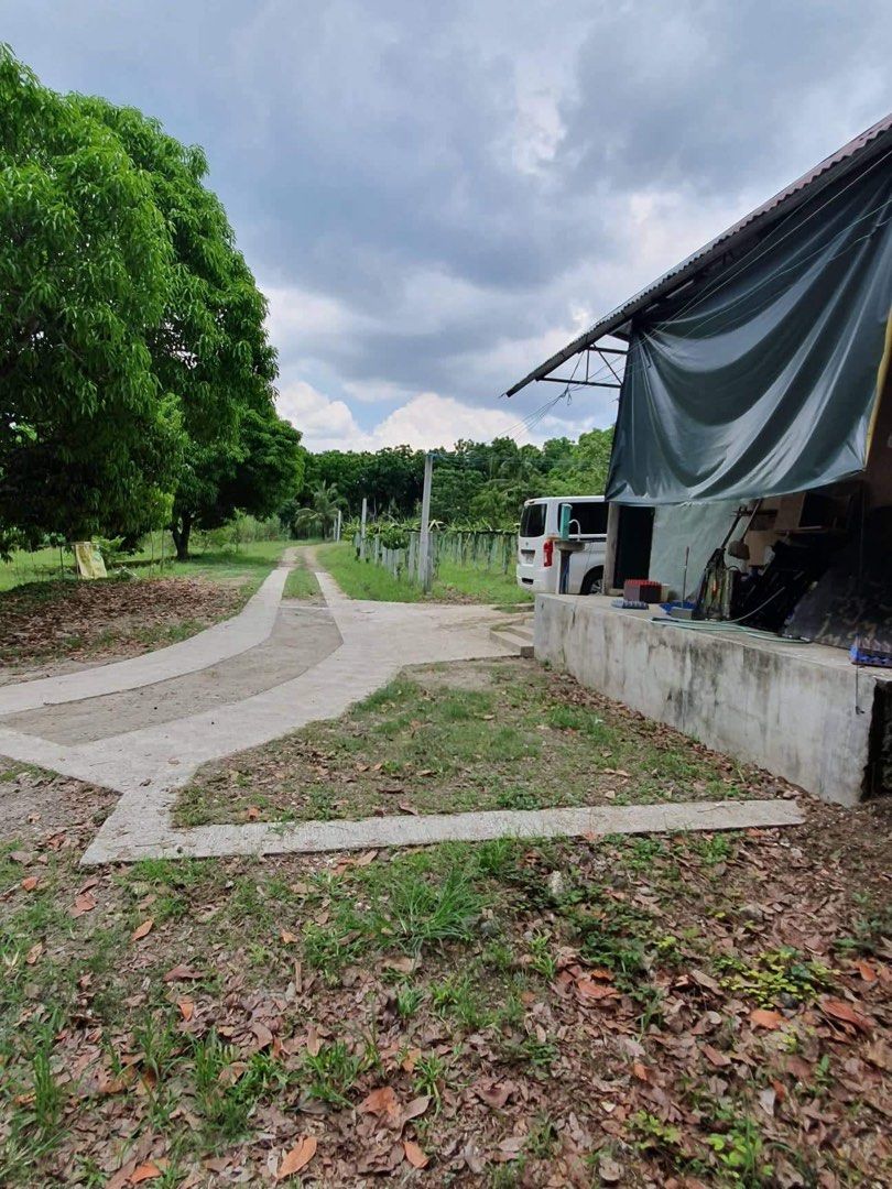 Poultry Farm For Sale!, Property, For Sale, Lot on Carousell