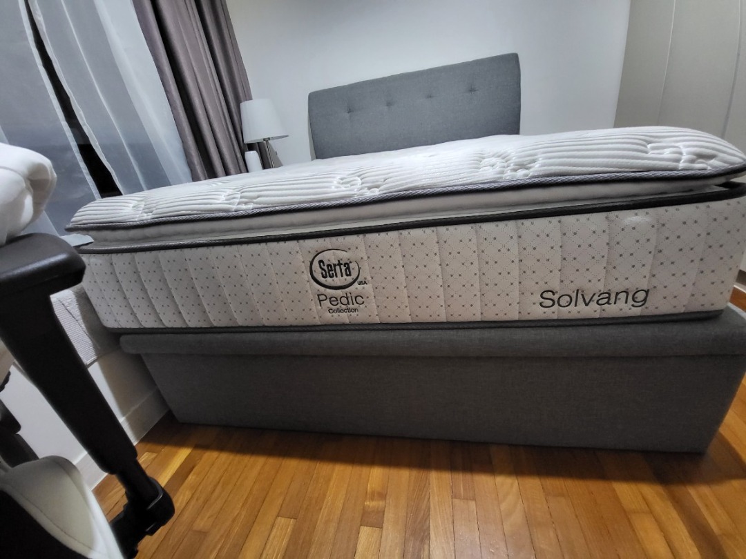 Serta pedic shop