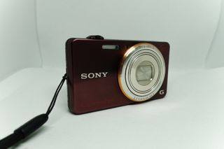 sony cybershot dsc-wx100 digital camera