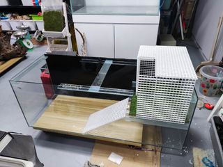 (Category: ) located in . Submitted by aquaticsolutions (Listing ID 1181111519, Image 1). Description: .
