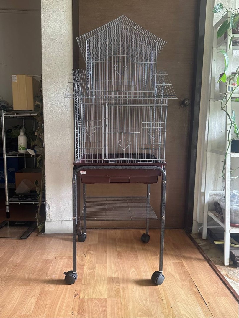Used Bird cage, Pet Supplies, Homes & Other Pet Accessories on Carousell