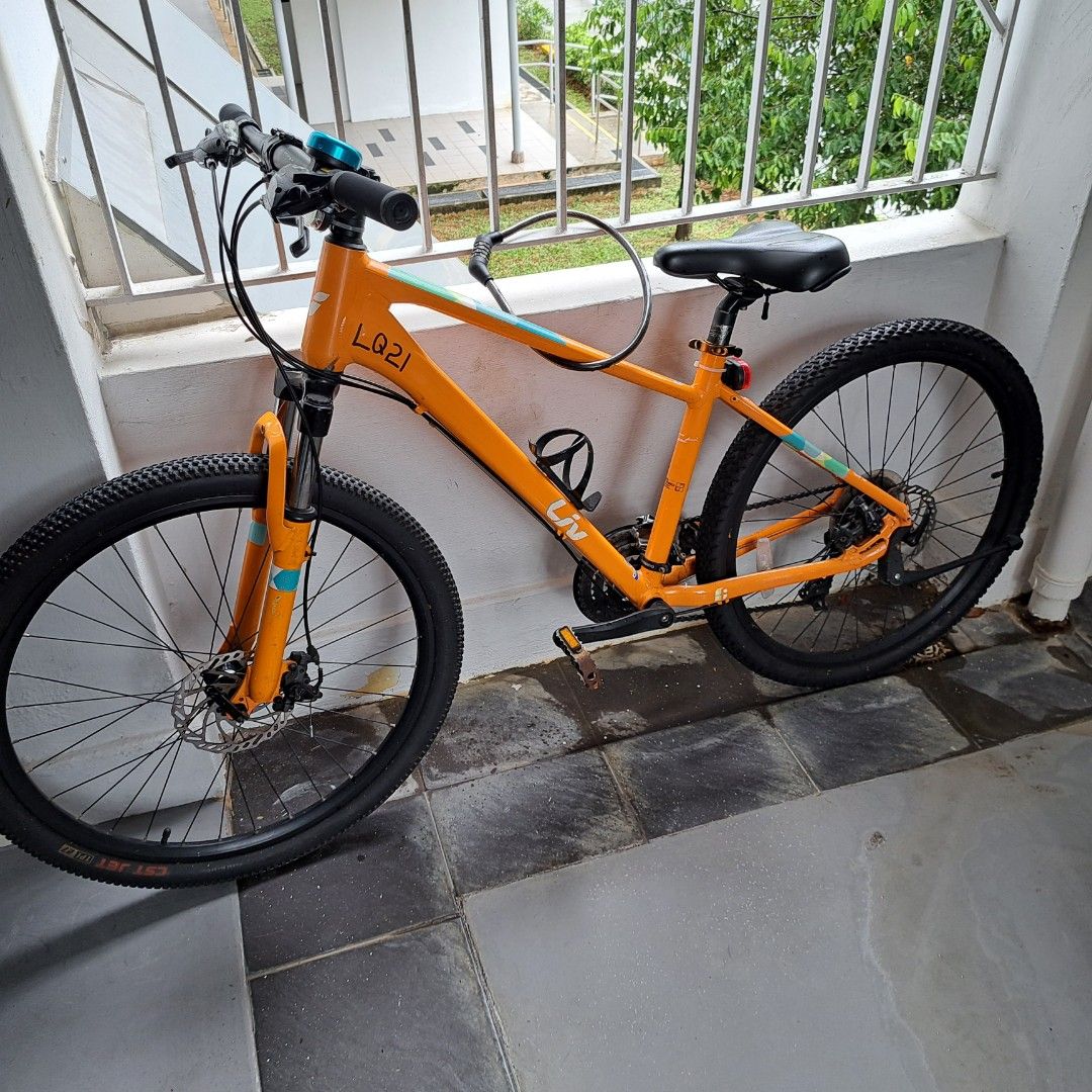 Used top liv bike