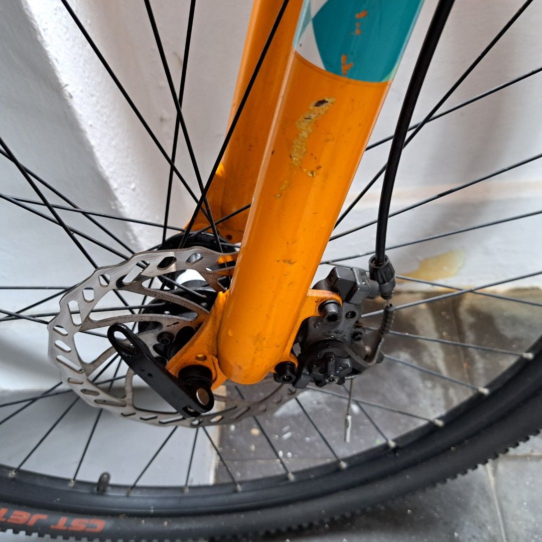 giant liv mountain bike for sale