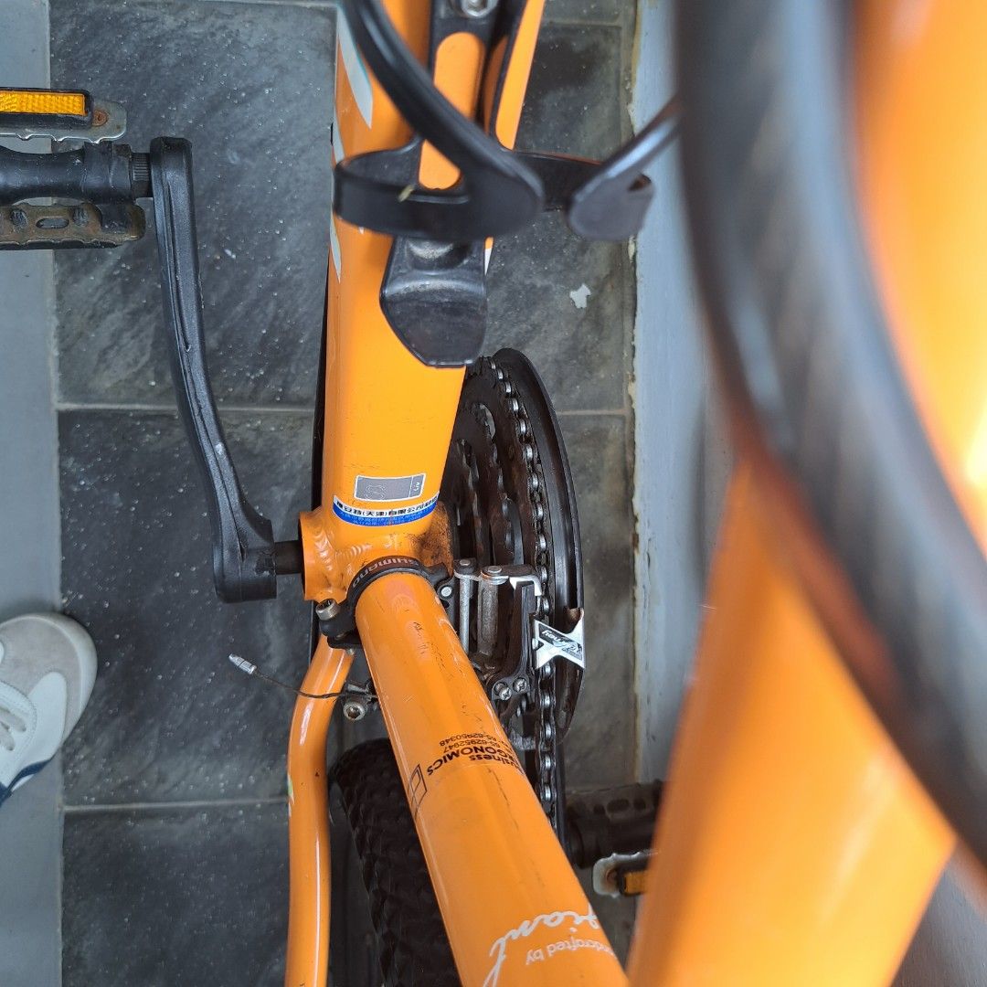 giant liv mountain bike for sale