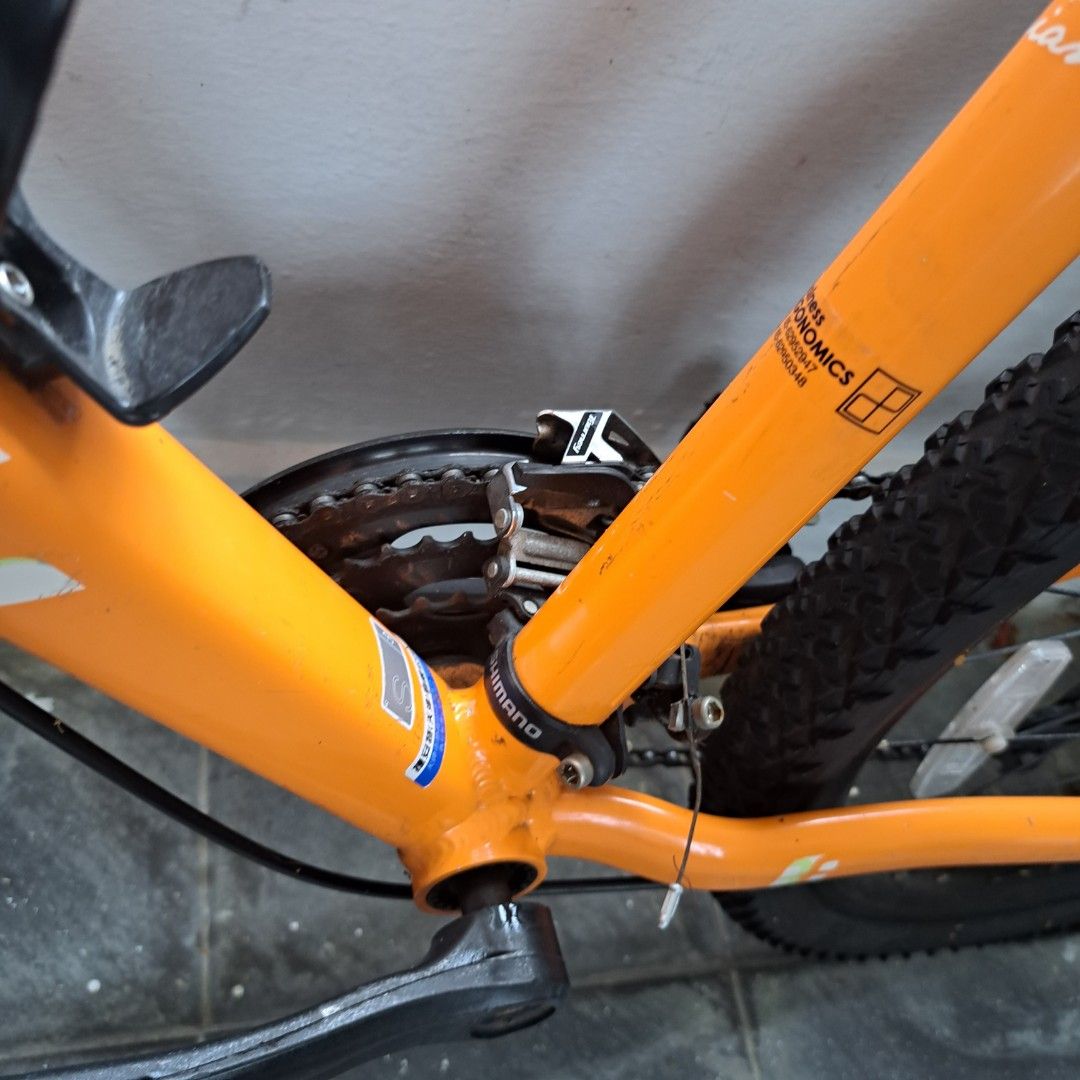giant liv mountain bike for sale