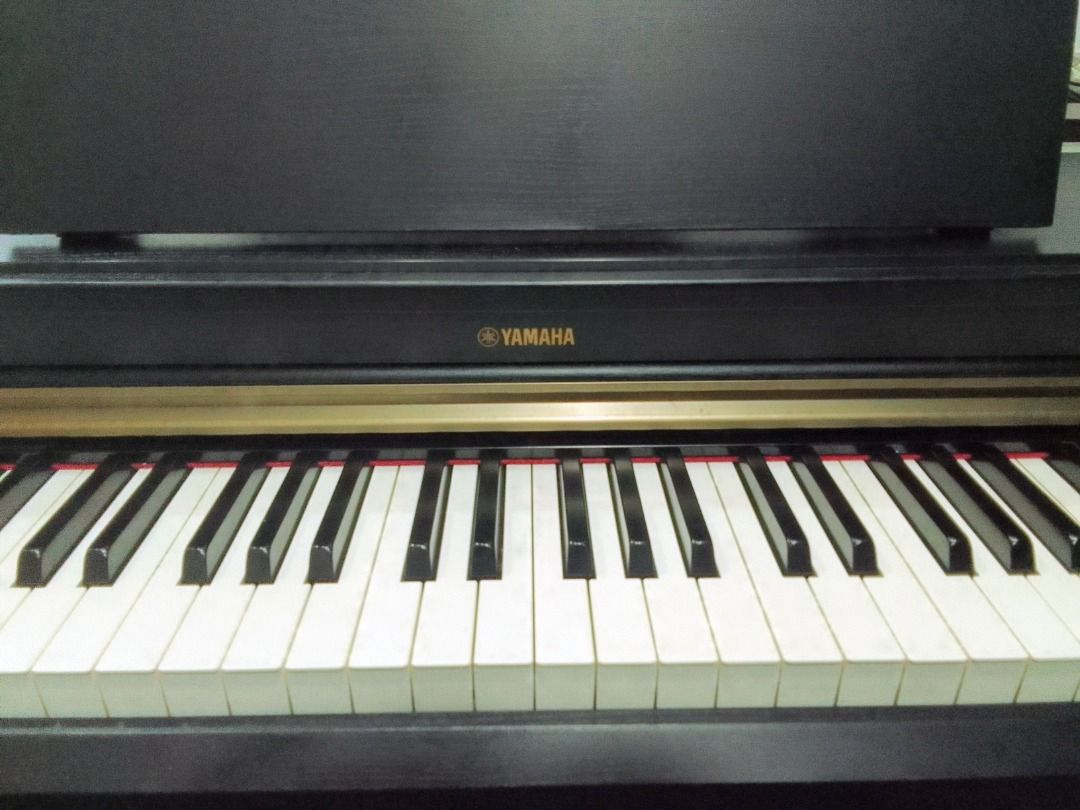 Yamaha store arius ydp162r
