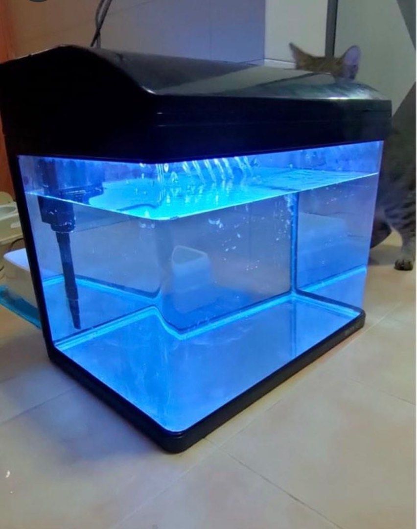 Boyu Fish Tank, Pet Supplies, Homes & Other Pet Accessories on Carousell
