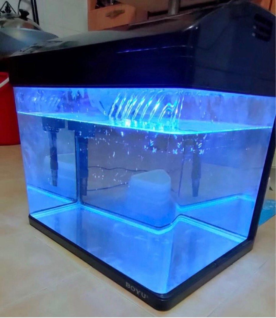 Boyu Fish Tank, Pet Supplies, Homes & Other Pet Accessories on Carousell