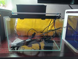 Fish Tank with pump and light