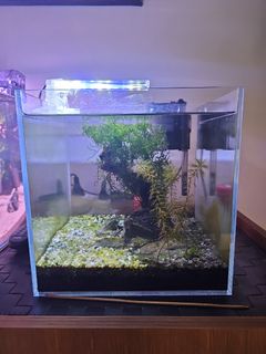 (Category: ) located in . Submitted by nikunjd10 (Listing ID 1232406185, Image 1). Description: .