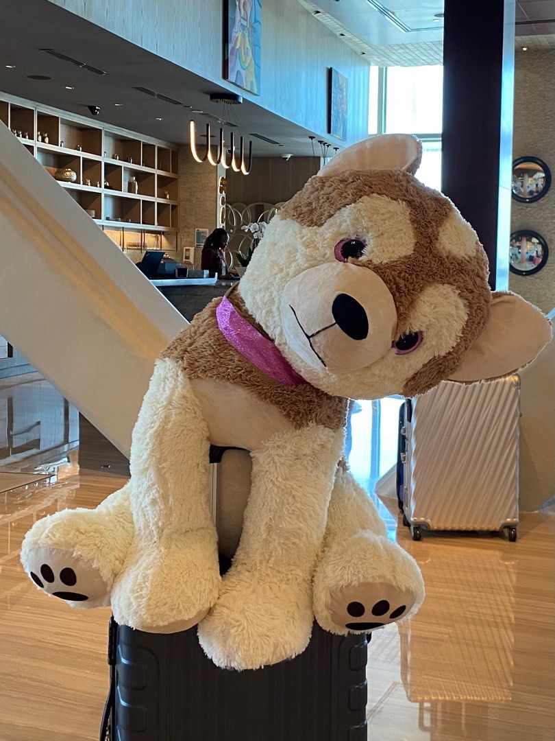 Huge dog teddy sales