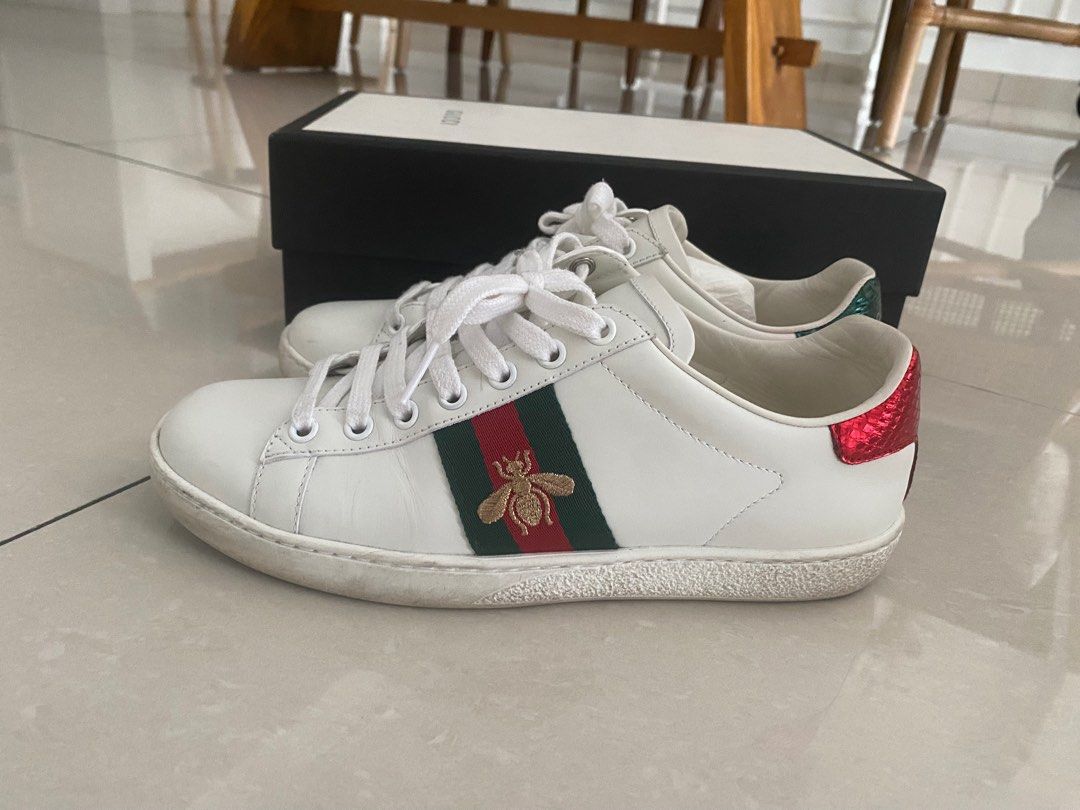 Gucci ace store watersnake