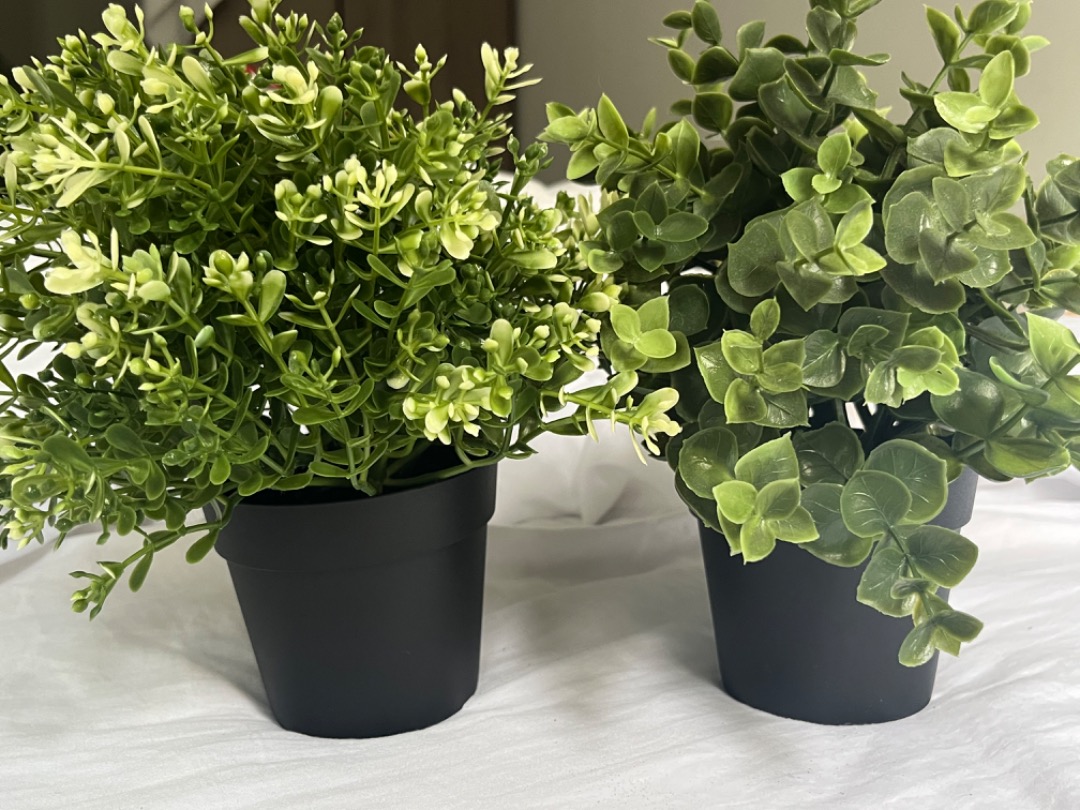 IKEA artificial plants, Furniture & Home Living, Home Decor, Artificial