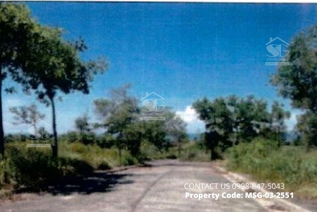 MSG032551 FORECLOSED Residential Lot in MOUNTAIN MEADOWS SUBD., BRGY
