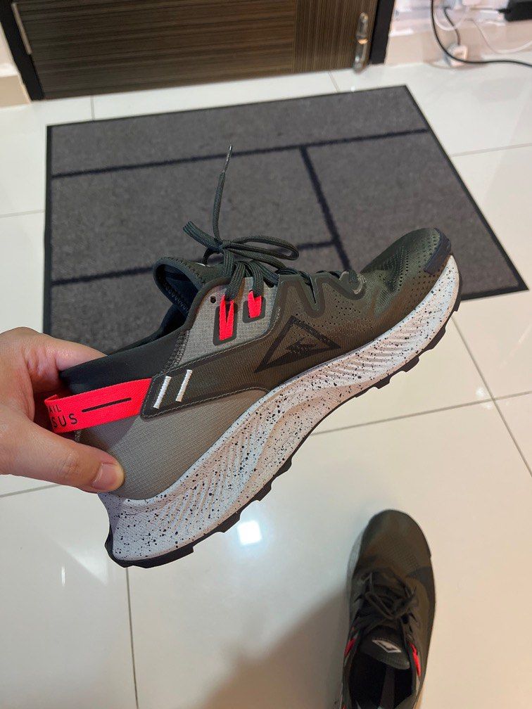 review pegasus trail 2