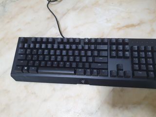 (Category: ) located in . Submitted by itzmelmao (Listing ID 1232452120, Image 1). Description: .