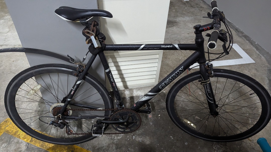 Teman road bike clearance