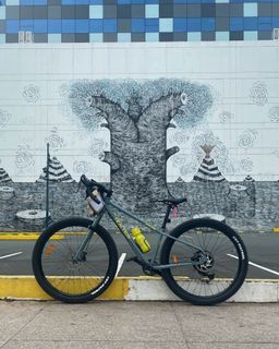 Traction Atlas XS Gravel Bike