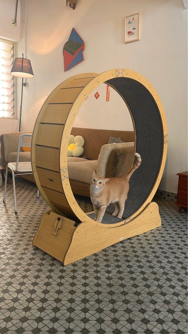 XL big cat wheel HDF wood 130 120cm Pet Supplies Homes Other