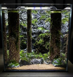 （分類：）位於 。 由 supertank10 提交（商品編號 1232563705，圖片 1）。簡介： 。