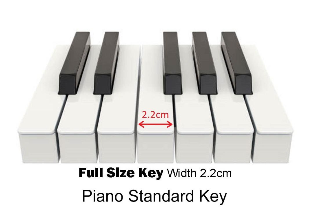 88 Keys Digital piano Portable Digital Piano Keyboard Sonatina C 26 Bluetooth Piano APP Multifunction Touch Sensitive Standard Piano Full Size Key