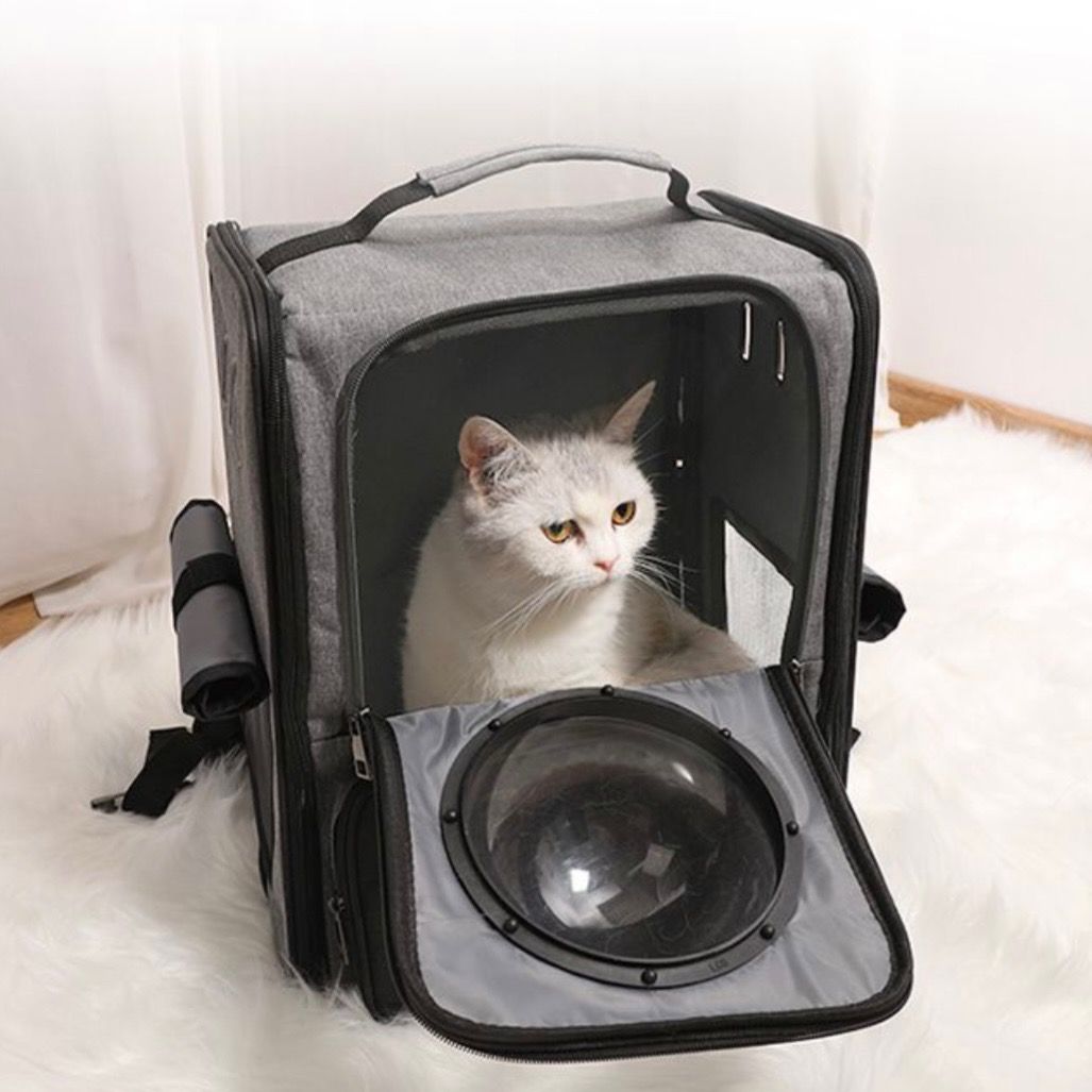 Cat Carrier Pet Backpack with Astronaut Bubble non Cat Cage Condo Litter Pet Supplies Homes Other Pet Accessories on Carousell