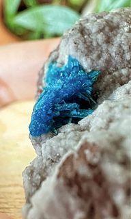 Cavansite / Pentagonite Raw stone crystal
