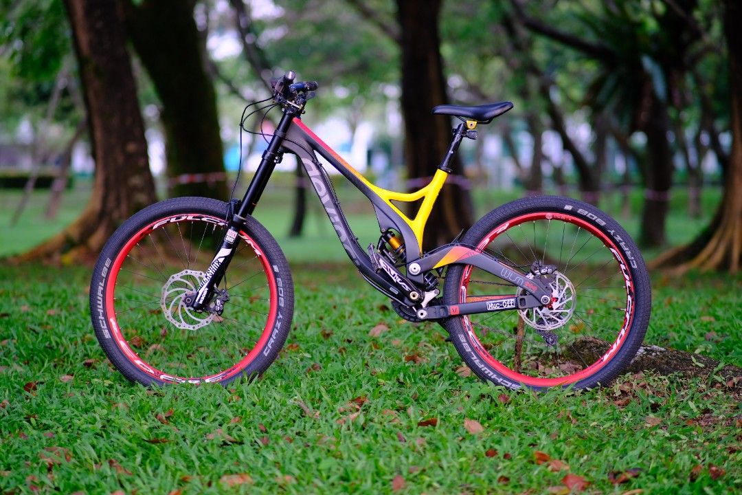 Devinci wilson hotsell dh