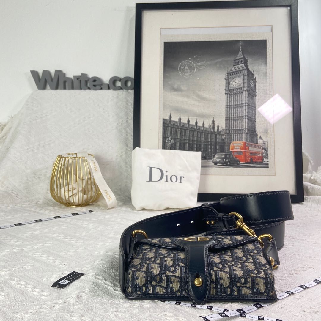 Dior oblique bag, Luxury, Bags & Wallets on Carousell
