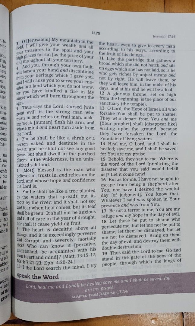 Everyday Life Bible by Joyce Meyer Amplified Version, Hobbies & Toys