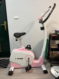 FUJI富士歐式淑女健身車  飛輪
