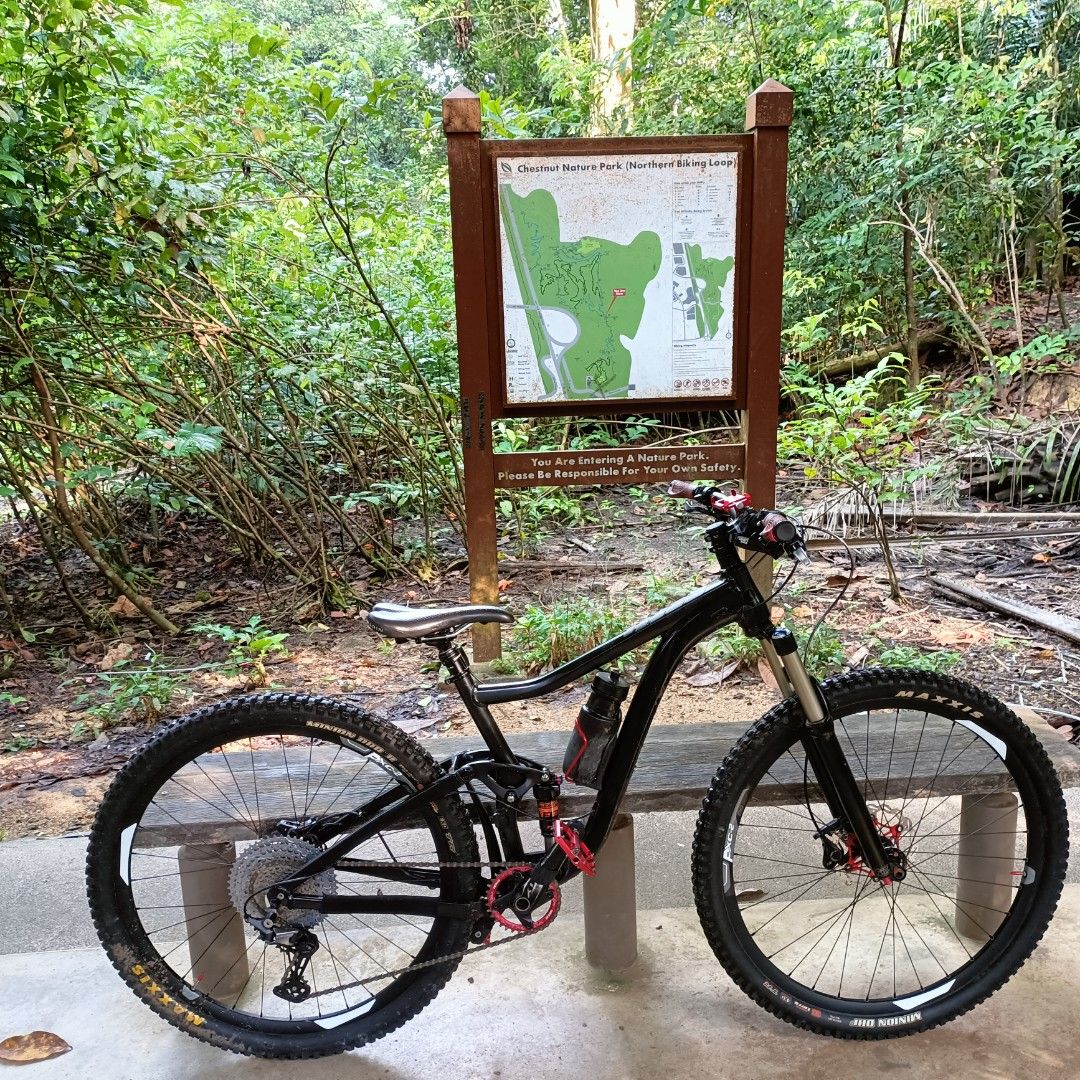 Giant Trance 29er Medium