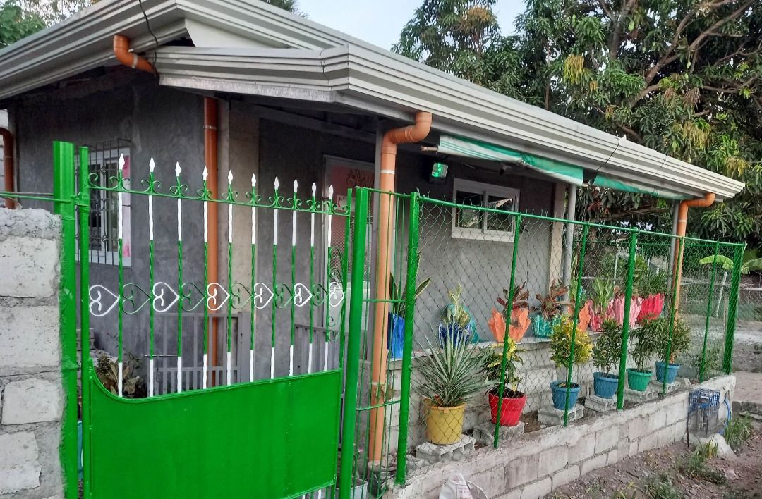House and Lot for sale Guimba, Nueva Ecija, Property, For Sale, House