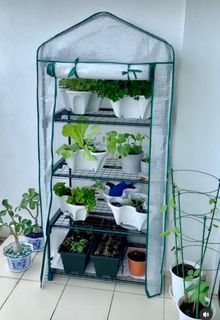 Mini Green House Plants Vegetables Rack Garden with Free Pots