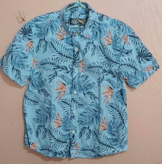 Polo summer