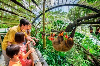 Singapore Zoo E Tickets