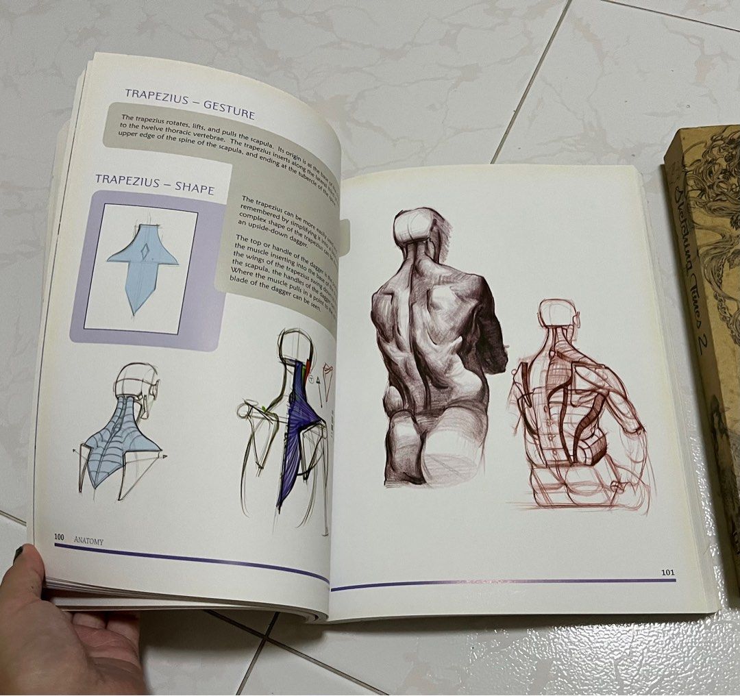 Sketching Times 2 and Michael Hampton Figure Drawing Design and