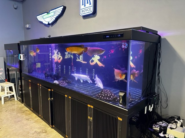 3m long crystal glass fish tank for sale, Pet Supplies, Homes
