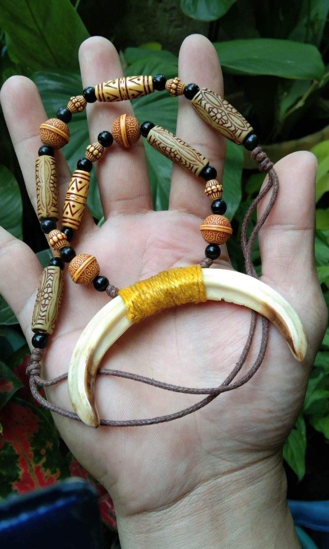 Shell Boars Tusk Shaped Ornament Papuan Gulf Area Papua New Guinea